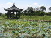 Hangzhou