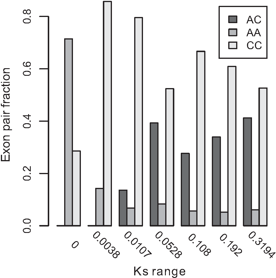 Splicing divergence in gene duplicates